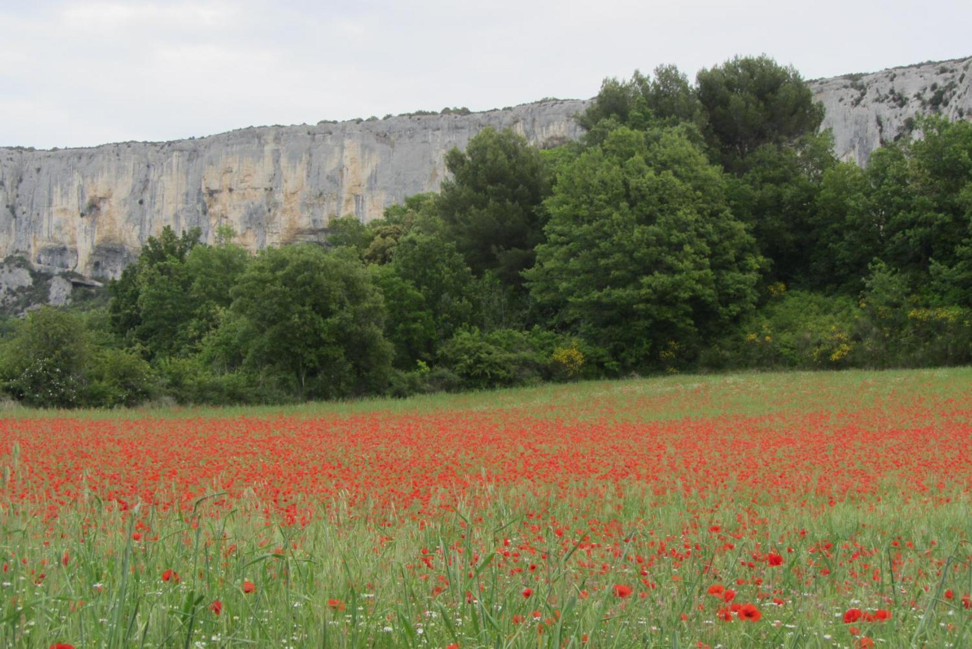 Les Cistes Villa Lioux Buitenkant foto