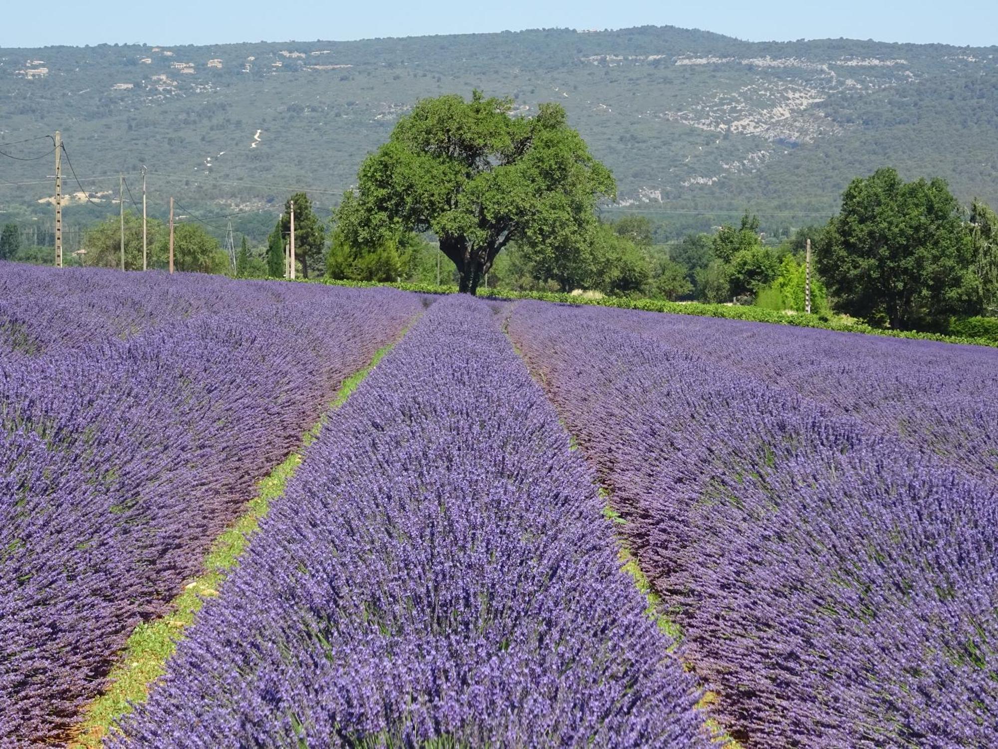 Les Cistes Villa Lioux Buitenkant foto