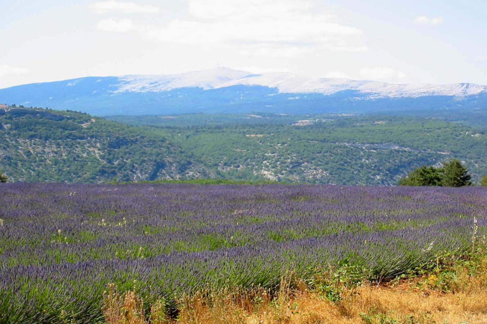 Les Cistes Villa Lioux Buitenkant foto